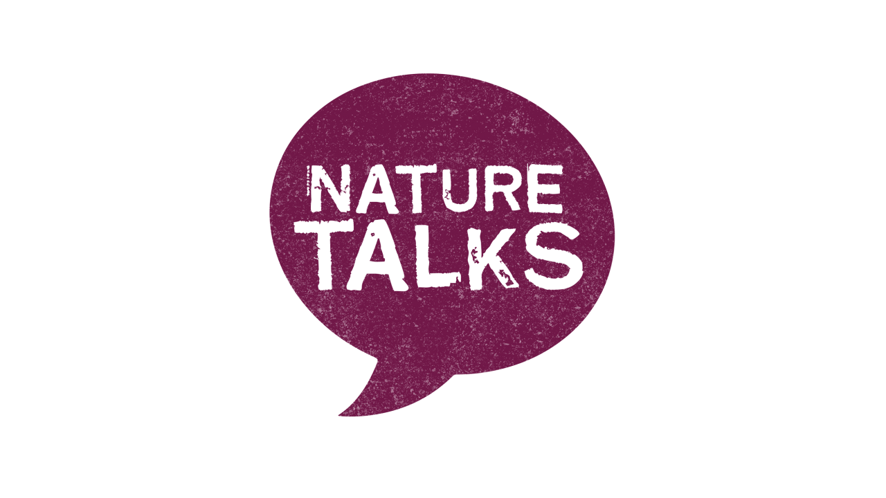 Needham Free Public Library VERUS